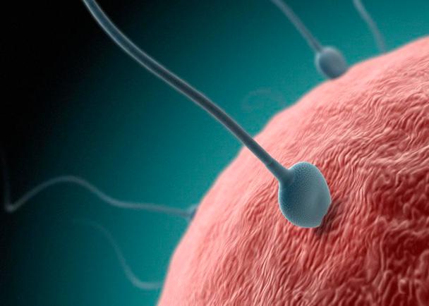 男人的精子可以吃吗？男人的精子是什么味道的-第3张图片-爱薇女性网