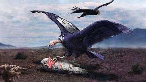 幸好这30种动物灭绝了，阿根廷巨鹰翼展可达7米-第6张图片-爱薇女性网