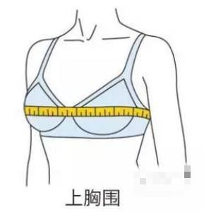女性胸围尺寸讲解，真实ABCDEFG罩杯到底多大图片-第2张图片-爱薇女性网