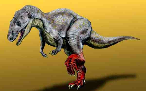 中华盗龙：体长达8米的新疆大型食肉恐龙，生活在距今1.44亿年前-第4张图片-爱薇女性网