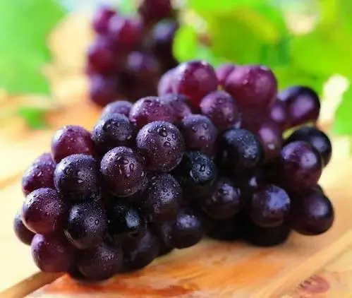 葡萄是热性的还是凉性的？有什么作用和功效-第4张图片-爱薇女性网