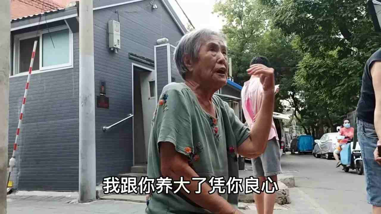 抱养儿子引孽债，北京胡同大妈哭诉养子要房-第4张图片-爱薇女性网